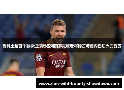 哲科土超首个赛季进球数名列前茅见证老将锋芒与费内巴切火力复苏